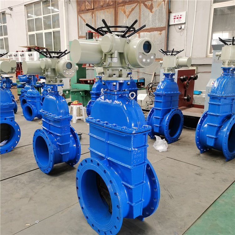 電動閘閥Z941h -64 DN500（石化行業、煉油廠、化工廠）