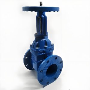 手動閘閥Z41T-16 DN50/DN65廠家直銷，上海發